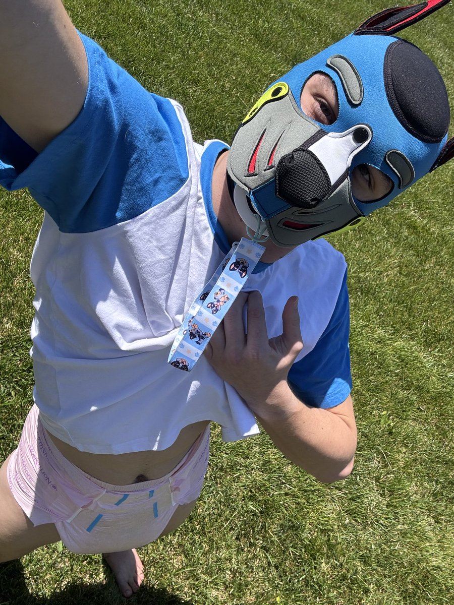 pupper_dash's tweet photo. I’m finally recovered fully and back to feeling like myself again. After having surgery the recovery was rough, April was super busy. Now that May is here and I’m out of school, it’s time to get back on track. Here’s some cute padded pics https://t.co/CY0hzChoeO