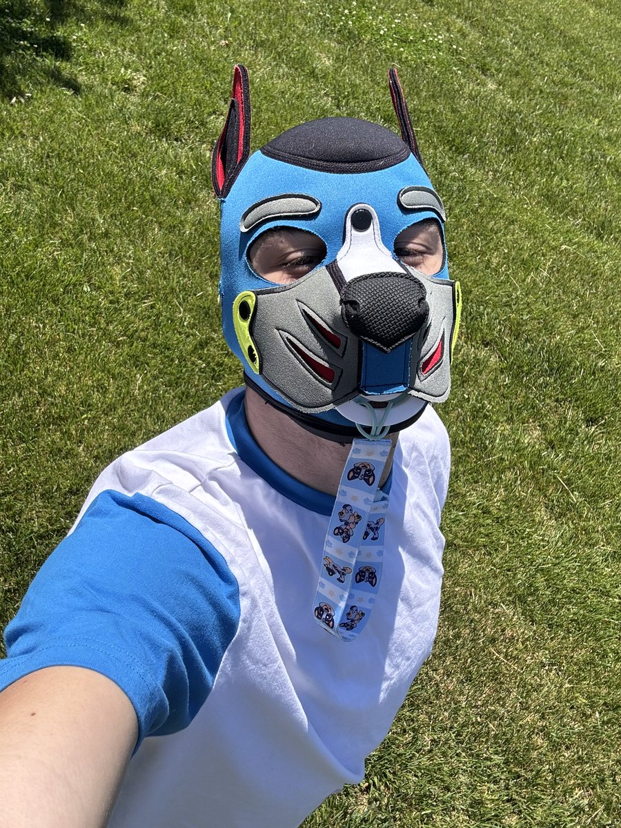 pupper_dash's tweet photo. I’m finally recovered fully and back to feeling like myself again. After having surgery the recovery was rough, April was super busy. Now that May is here and I’m out of school, it’s time to get back on track. Here’s some cute padded pics https://t.co/CY0hzChoeO