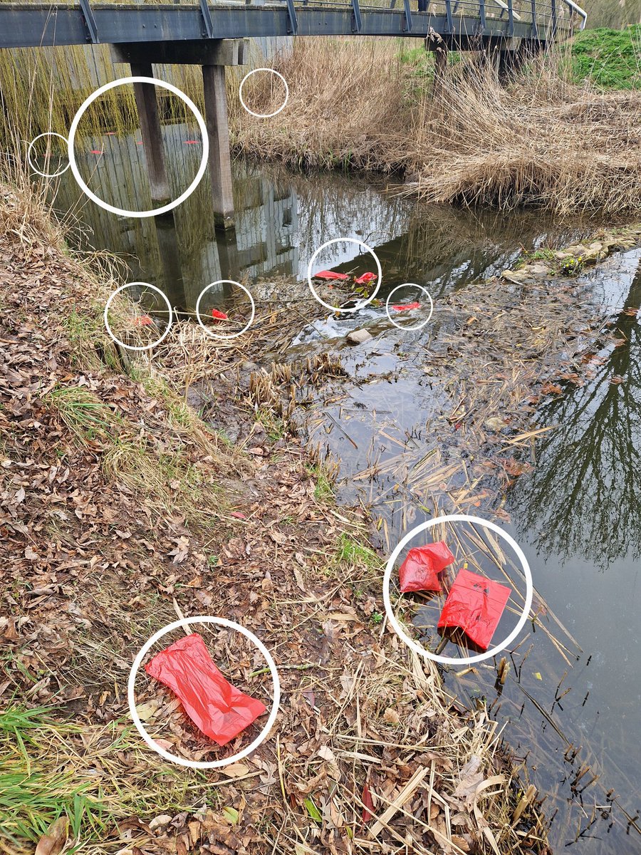 EBS023's tweet photo. Kattenkwaad of onopgevoed??
Hier valt nog een hoop bij te schaven, jong geleerd is immers oud gedaan.
#Supportervanschoon #TrashWalking #zwerfie #Poortugaal #Albrandswaard https://t.co/xI0qUWlSAO