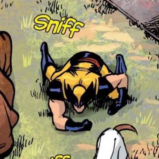 feralregens's tweet photo. ⠀
don’t interrupt, he’s busy on a trail. just need some extra time…
⠀⠀ https://t.co/ylArtlF5AH
