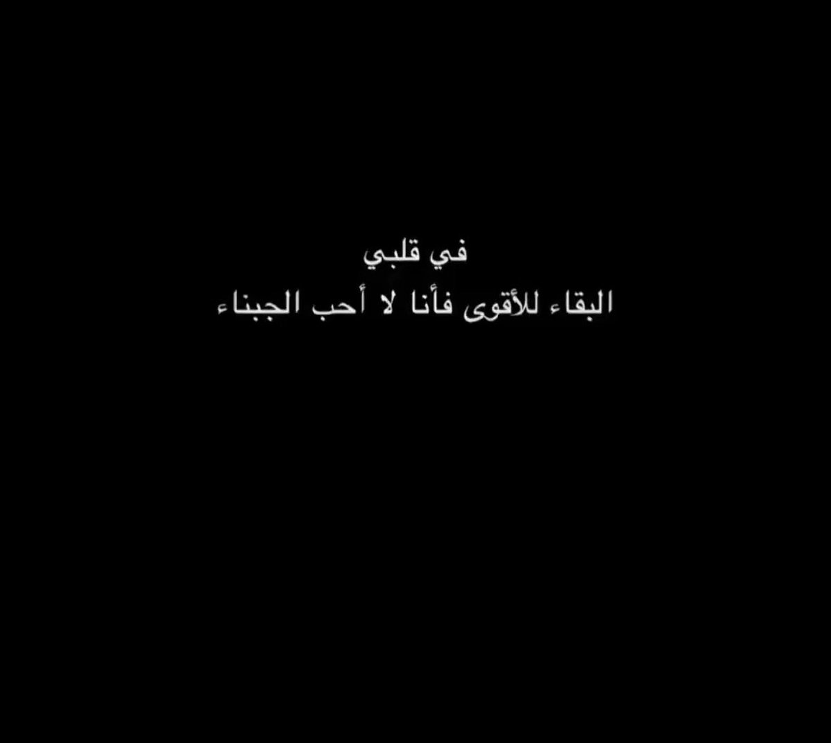 мємє tweet media