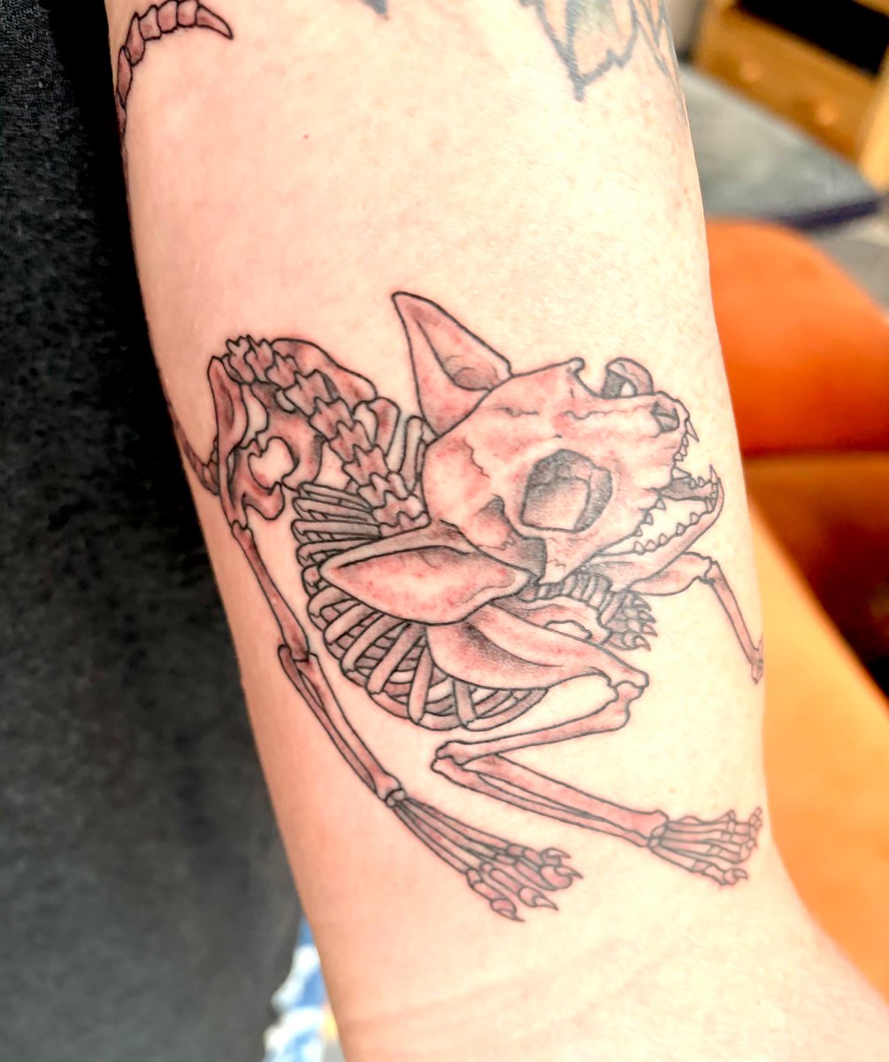cjtudor's tweet photo. New book. New tattoo. When you know, you know! 😉 #SerenityFalls https://t.co/mepdIhq9lG
