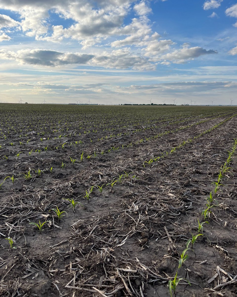 FSCooperatives's tweet photo. You only get one shot each season to maximize every input. Talk with your local #FS Crop Specialist about solutions that help relieve stress and drive growth this #Plant26. https://t.co/vijForE2jd