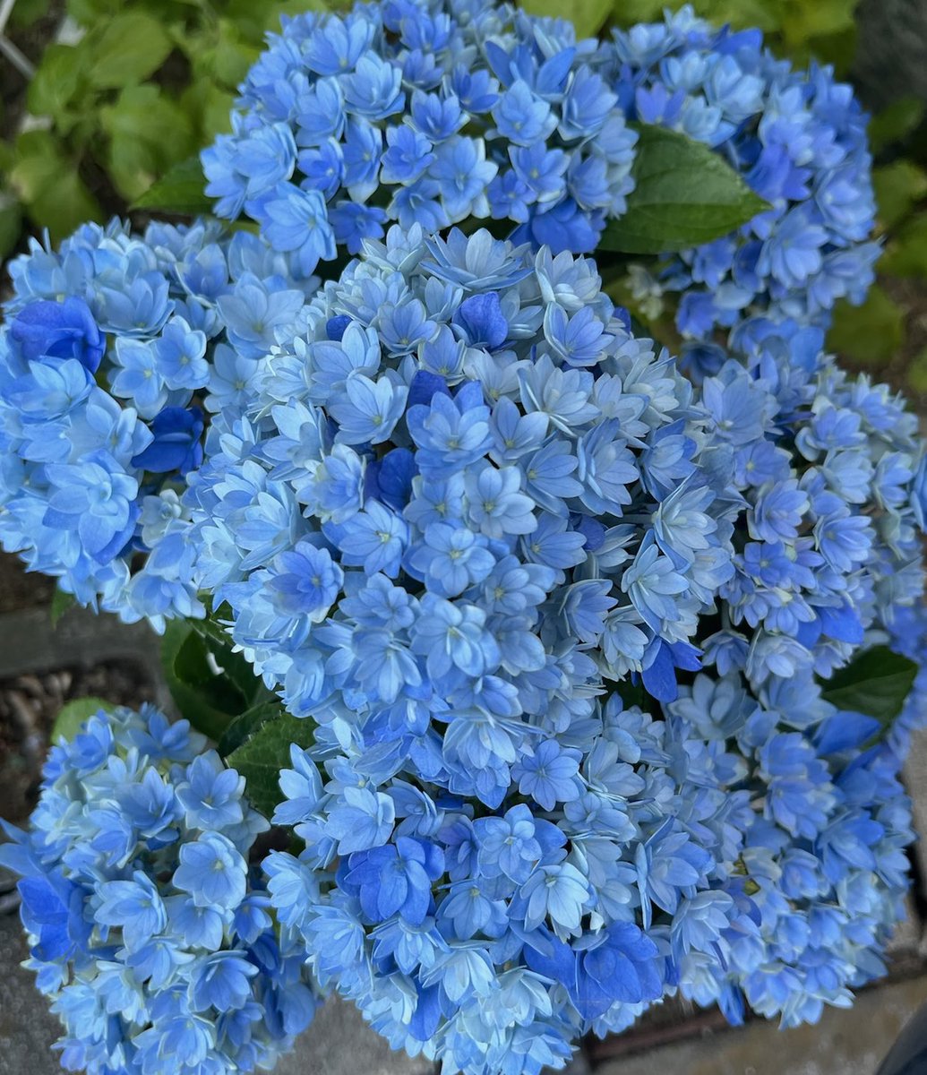 えひろ📎💙 tweet media