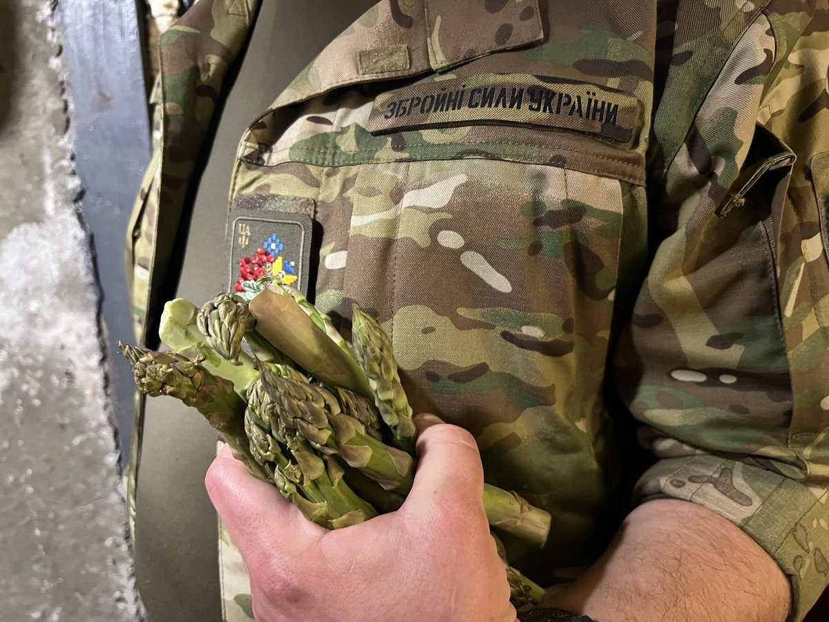 yurikthejester's tweet photo. Somebody just received a lot of true asparagus. Kudos to @_dulin_ ! https://t.co/rBwG2mktVN