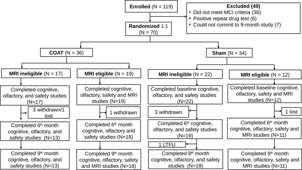 alzdemjournals's tweet photo. How can olfactory function impact gray matter volume (GMV) in the brain?
New research in #TRCI demonstrate 6 months of computerized olfactory adaptive training in those with MCI is associated with improved cognition and retention of GMV
Learn More: https://t.co/iriVV8MNKx https://t.co/SWdHP9VaCr