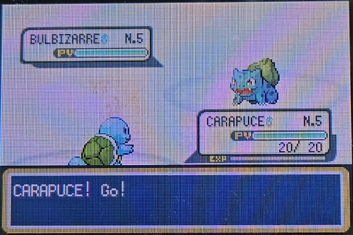 HydroPoing's tweet photo. Celui-ci sera venu plus vite ! Carapuce shiny apparaît sur Vert Feuille comme second membre de ma DTQ après 2003 resets ! ✨

Il ne reste donc plus qu'à trouver Salamèche sur Rouge Feu, qui lui est à 7983 resets. Le 3e membre VF sera Nidoqueen safari (mais pas cette année) ! https://t.co/JPX3eqWs7O