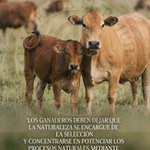 Photo by Hacienda El Pajuil - Ganadería Regenerativa (@romanfja)