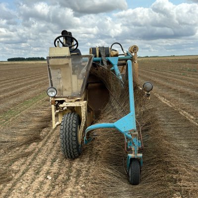 BastonOctave's tweet photo. #NouvellePhotoDeProfil https://t.co/XU8w19UMUh