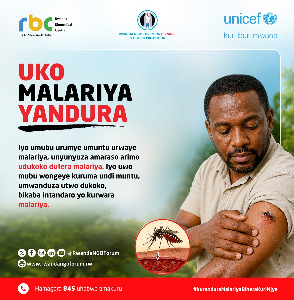 RwandaNGOForum's tweet photo. 🦟 MENYA UKO MALARIYA YANDURA N’UKO WAYIRINDA.

Malariya ntabwo yandurira mu gusuhuzanya cyangwa gusangira ibikoresho. Yandura binyuze mu kurumwa n’umubu w’ingore wo mu bwoko bwa Anofele wanduye agakoko gatera Malariya.

Iyo umubu urumye umuntu urwaye Malariya, unyunyuza amaraso arimo udukoko dutera iyo ndwara. Iyo wongeye ukaruma undi muntu, umushyiramo utwo dukoko bikaba intangiriro yo kurwara Malariya.

📢 Menya uburyo wakwirinda kwandura Malariya:

✅ Ryama mu nzitiramubu
✅ Irinde ahororokera imibu hafi y’urugo
✅ Gufunga amadirishya nimugoroba
✅ Ihutire kujya kwa muganga hakiri kare igihe ufite ibimenyetso

Ubumenyi ni intwaro ikomeye mu kurwanya Malariya 💚

Kurandura Malariya Bihera Kuri Njye!

#ZeroMalariaRW
#MenyaWirindeRW
#TogetherForHealthRW
#RCCERw