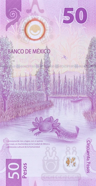 No, manitos, no nos incomodan los #ajolotes, ni el color morado. Hasta nos dolía gastar estos billetes que son una maravilla de diseño. Molesta que quieran ocultar los problemas de la ciudad con pintura y que encima lo hagan con mal gusto.