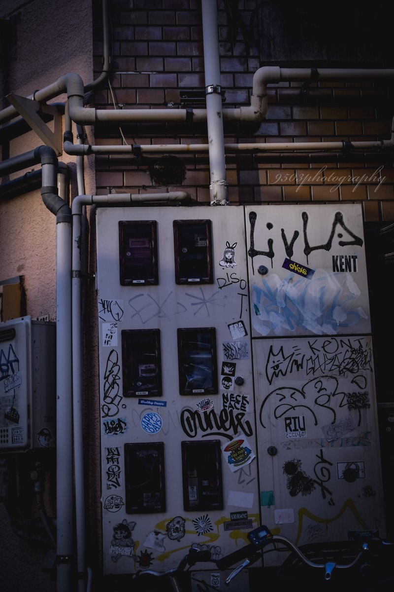 9503photography's tweet photo. Shot on Nikon D5300

#写真好きな人と繋がりたい #ファインダー越しの私の世界 #キリトリセカイ #私とニコンで見た世界
#Nikon #photography #9503photography https://t.co/AyQwLXHiRx