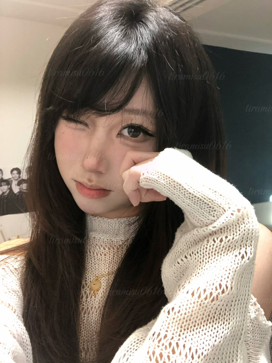 野良猫 tweet media