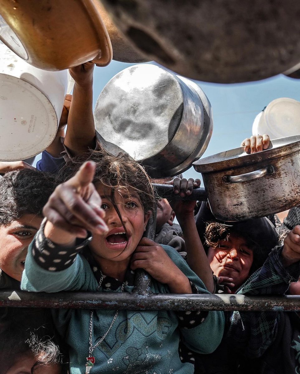 🇹🇷 Hür Aktivist 🇵🇸 tweet media
