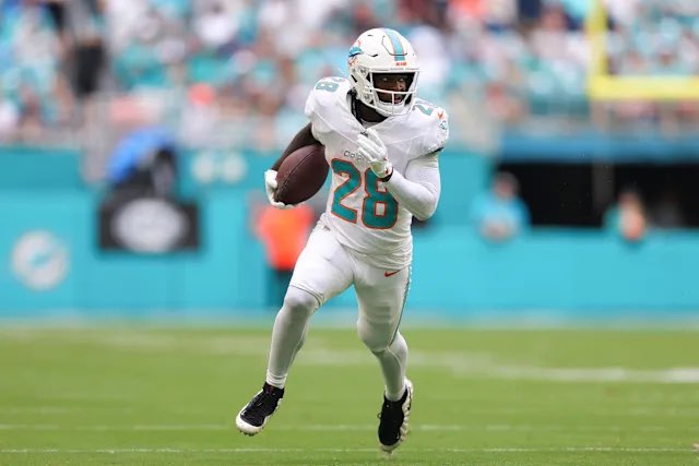 Dolphin Nation tweet media