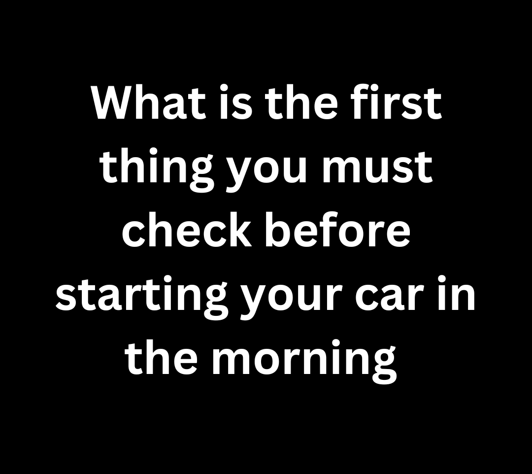 CLEAN CAR CLUB tweet media