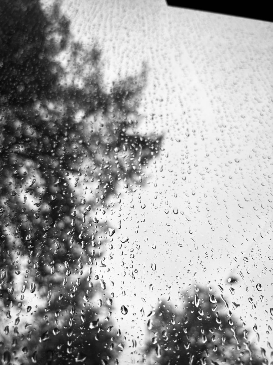 vendicti's tweet photo. Musicmaker och rainy day . 🖤🌧️ @TobiasBernstrup #musicisart #rain https://t.co/puMlDnpwK7