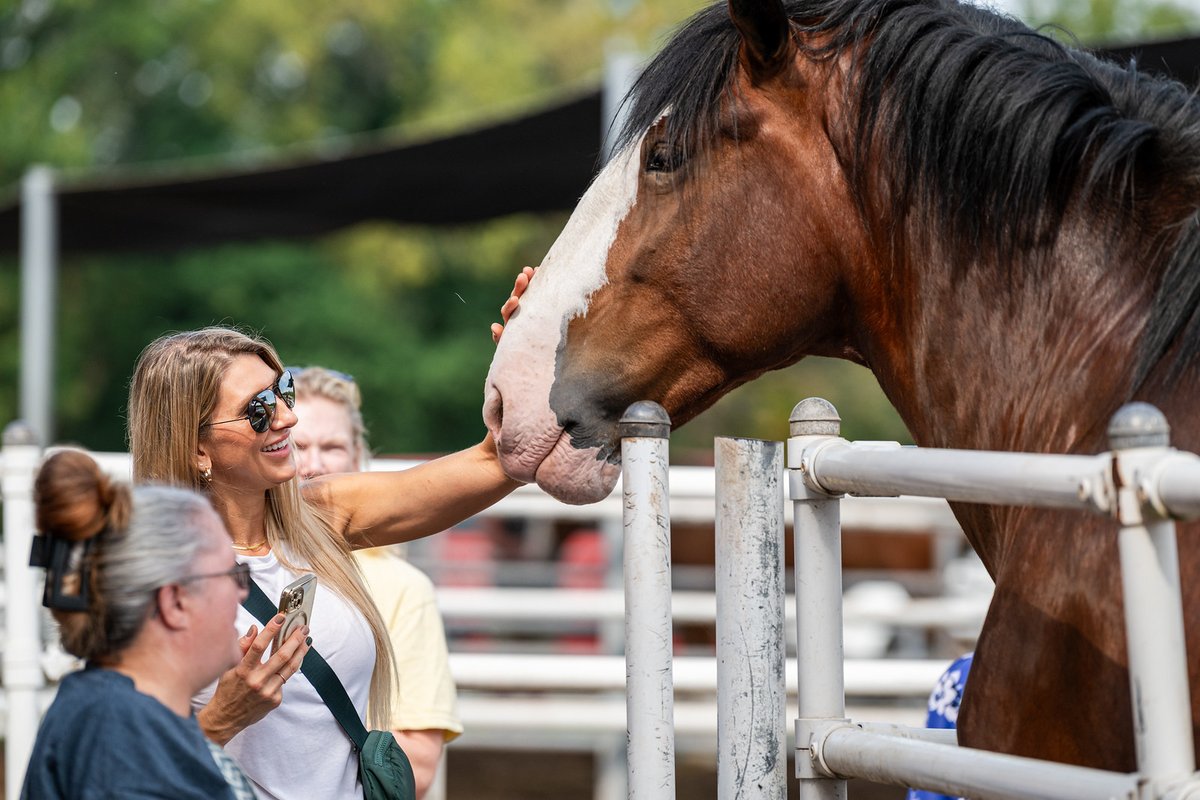 Warm Springs Ranch tweet media