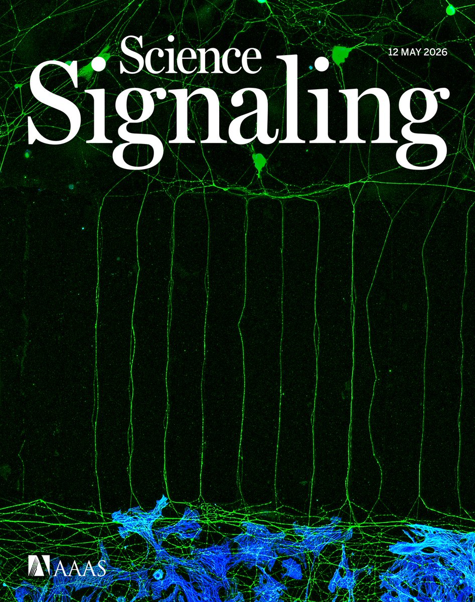 Science Signaling tweet media