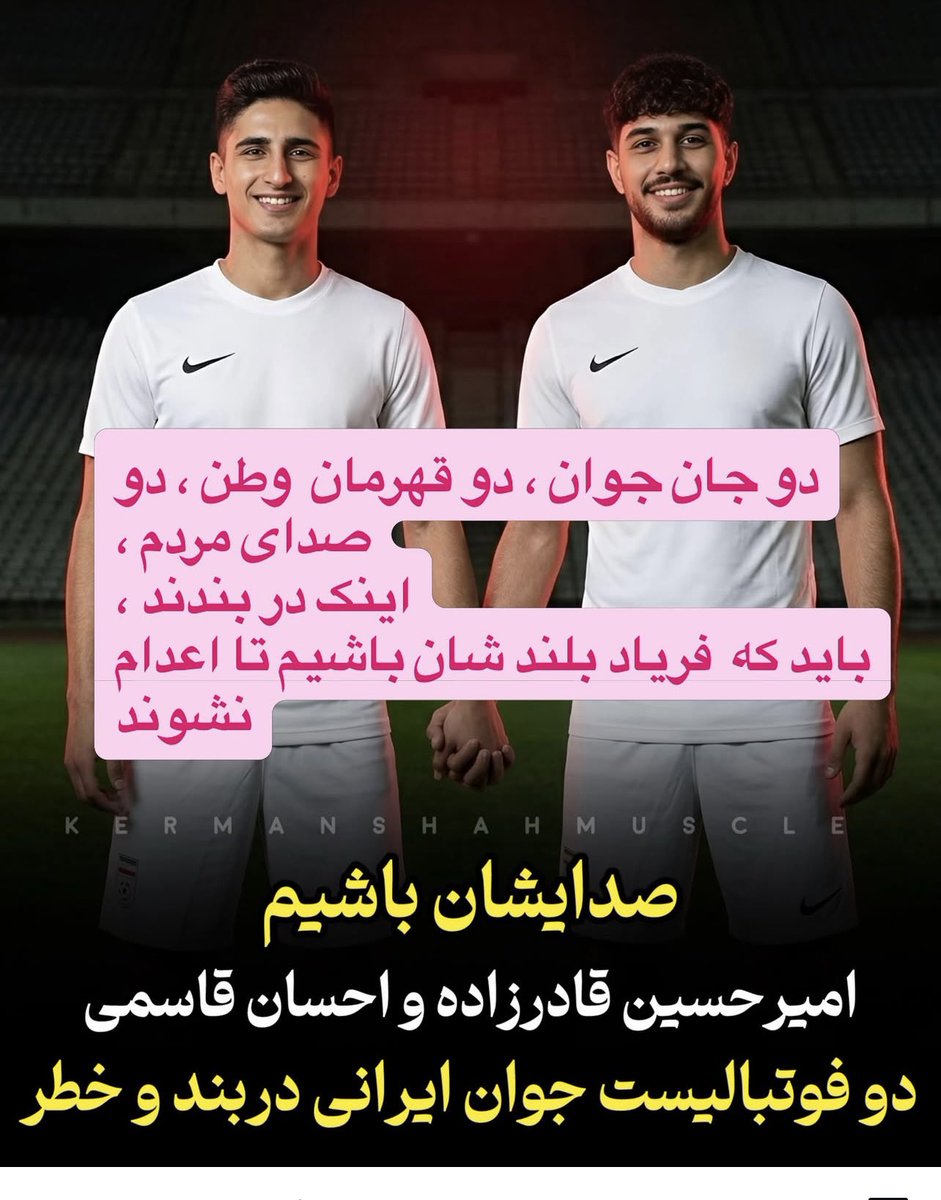 Sholeh tweet media