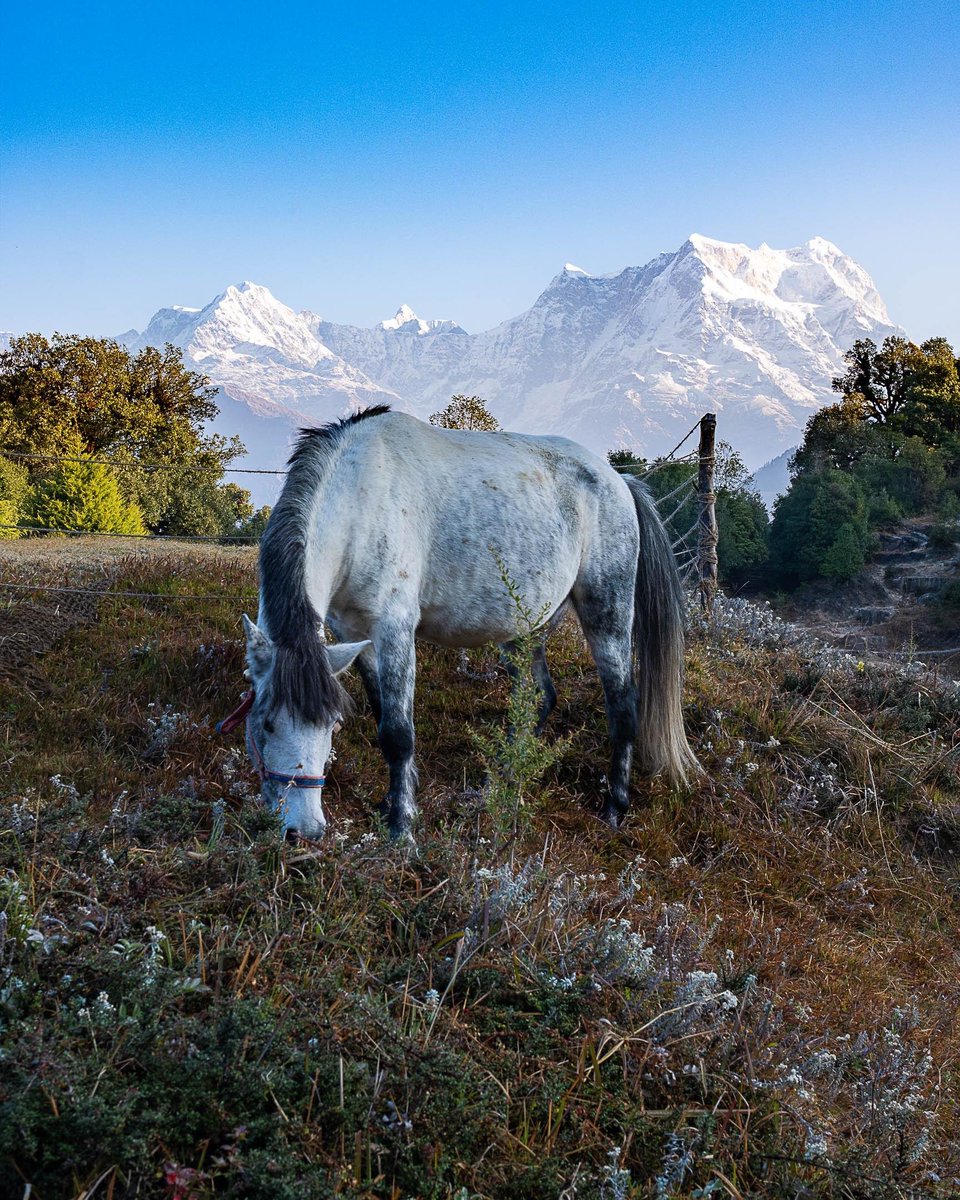 Shridzz⛰️ tweet media