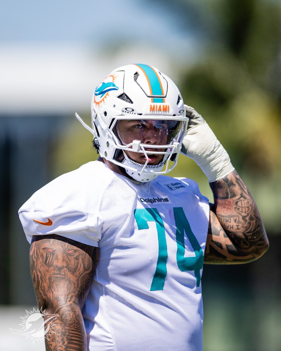 Dolphins en Español tweet media