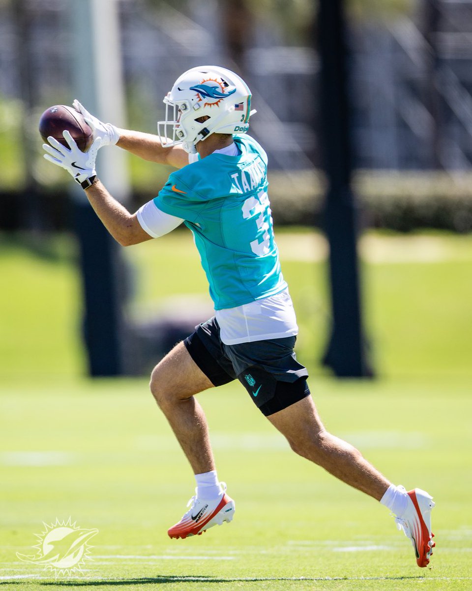 Dolphins en Español tweet media