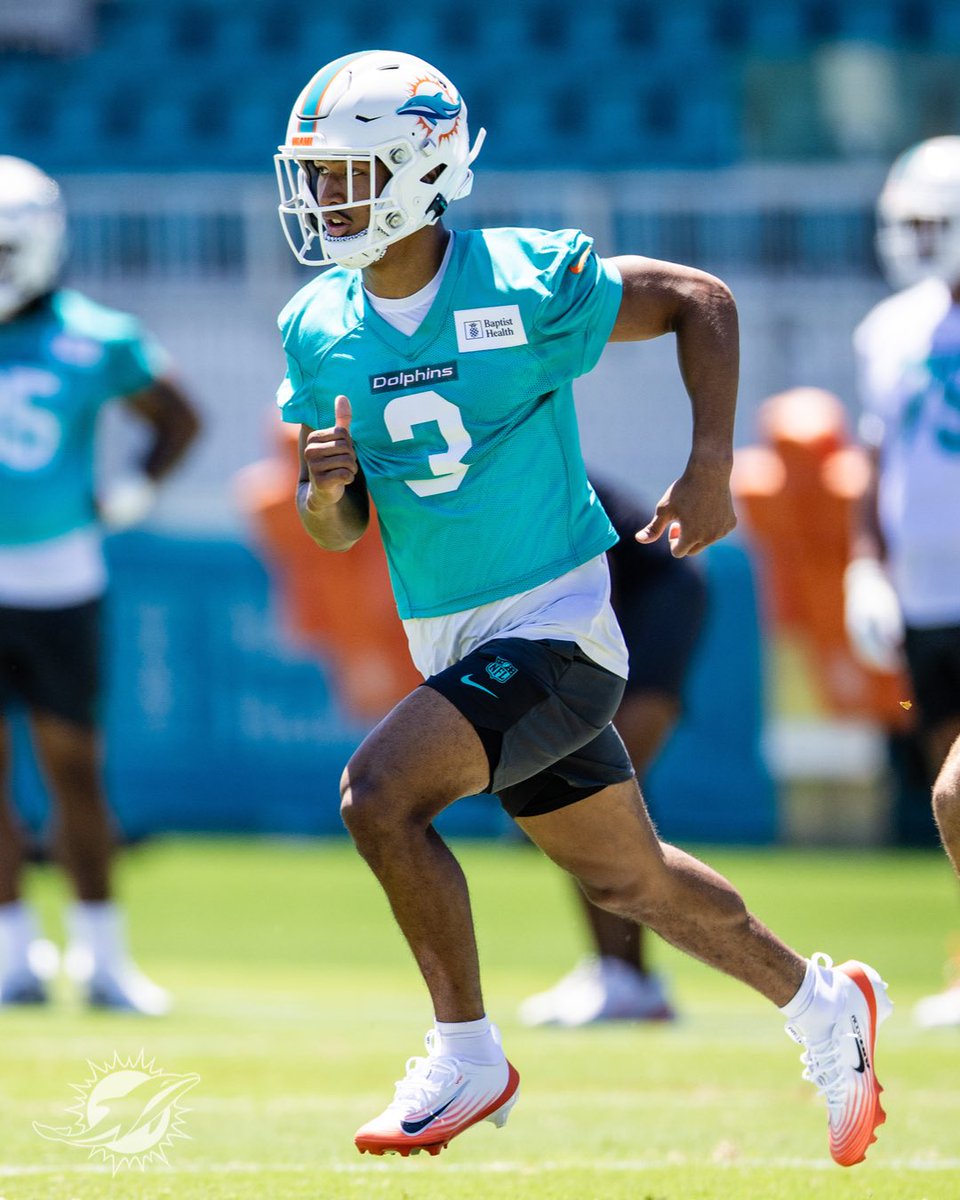 Dolphins en Español tweet media