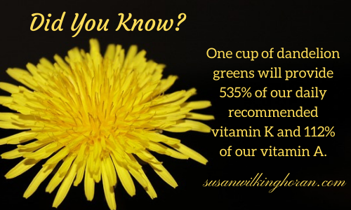 SWilkingHoran's tweet photo. #Tuesday #tips ~ Dandelions not only provide for the bees they also are surprisingly good for our #health &amp; #wellness. #Beauty &amp; #purpose. 🌼 #spring #SPRINGDAY #tuesdayvibe #wellbeing #healthyliving #healthyeating #NatureIsAmazing #nature #writingcommunity #authors https://t.co/IftWX4j7dM