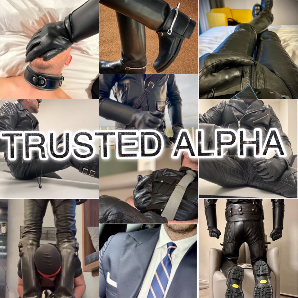 TRUSTED ALPHAS tweet media