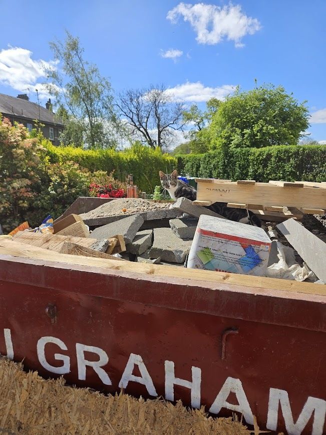 Vialii's tweet photo. You've heard of the Cat in a Hat but we hope this Kit in a Skip makes it out before the skip is collected! Cheeky kitten! https://t.co/nQSJy4hDqi