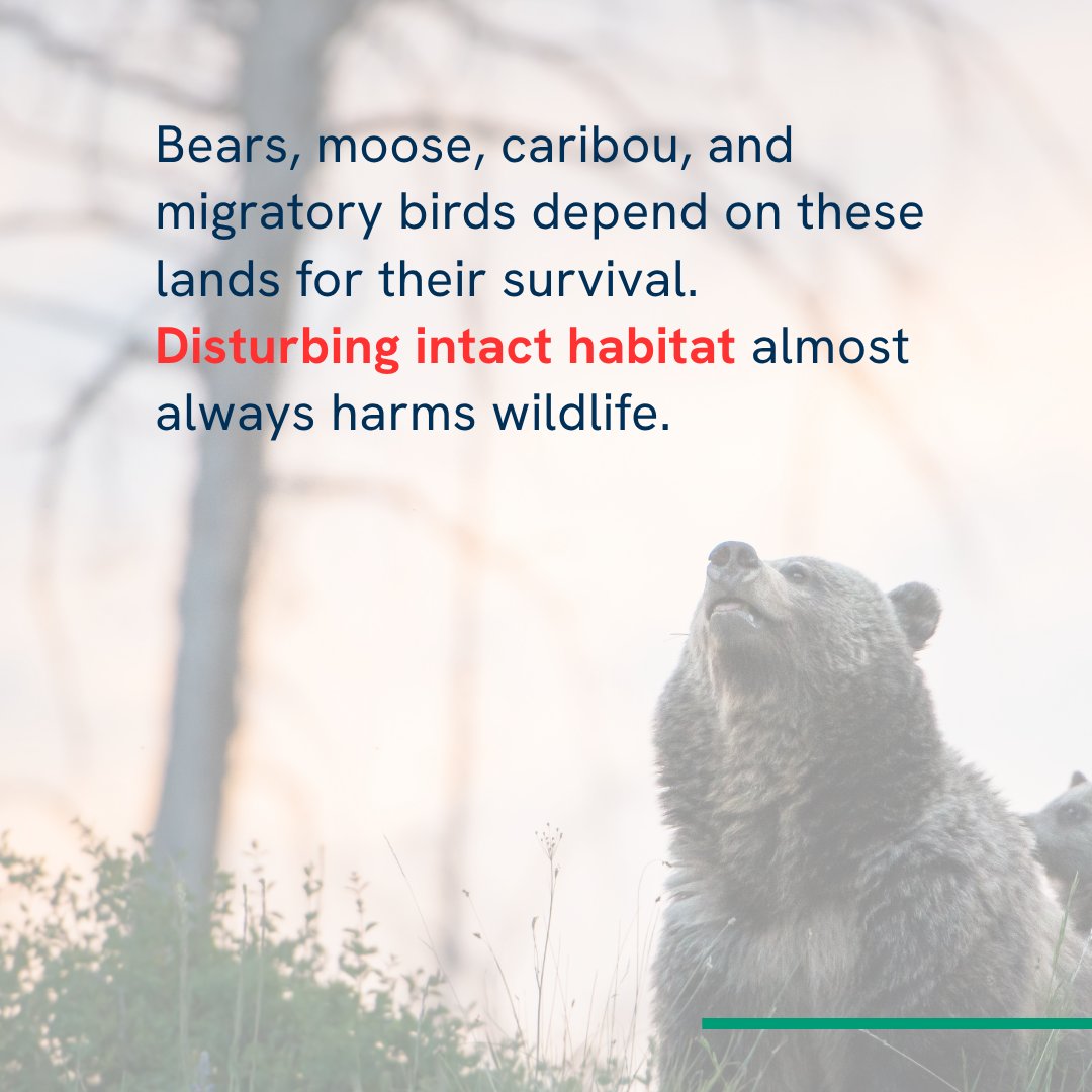 National Wildlife Federation Action Fund tweet media