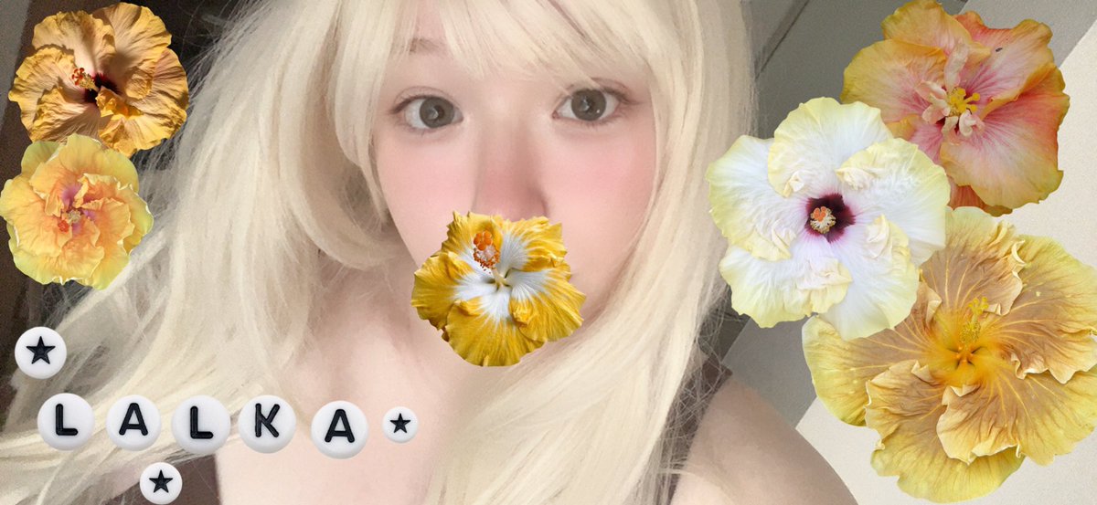 ᶻ 𝗓 𐰁 .ᐟ tweet media