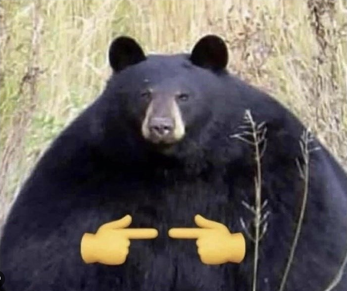 𝔰𝔱𝔬𝔯𝔪𝔦𝔫 ⛈️ tweet media