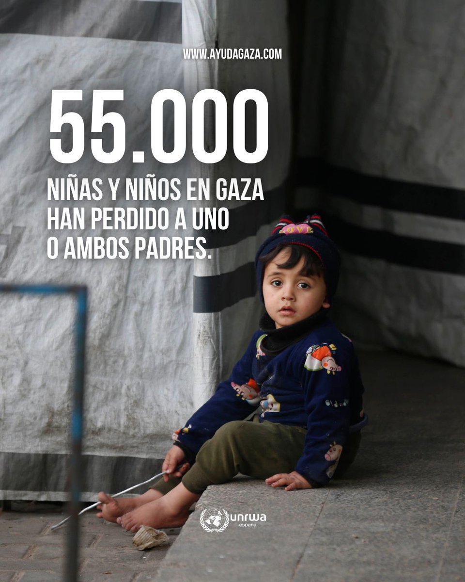 UNRWAes's tweet photo. 55.000 niños y niñas en Gaza han perdido a uno o ambos padres. Detrás de cada cifra hay una infancia rota por el dolor, el miedo y la pérdida. Nadie debería aprender a sobrevivir antes que a vivir. No podemos mirar hacia otro lado.
https://t.co/jMonW8szym https://t.co/sjGnJtb4VZ