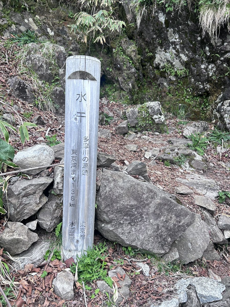 toyopink's tweet photo. 笠取山🏔️ 

多摩川の最初の一滴の水干と野鳥を観察して解説してもらいました🦅
気温もちょうど良く楽しかった🏔️

ありがとうございました🙏 https://t.co/FIewWK3rpM