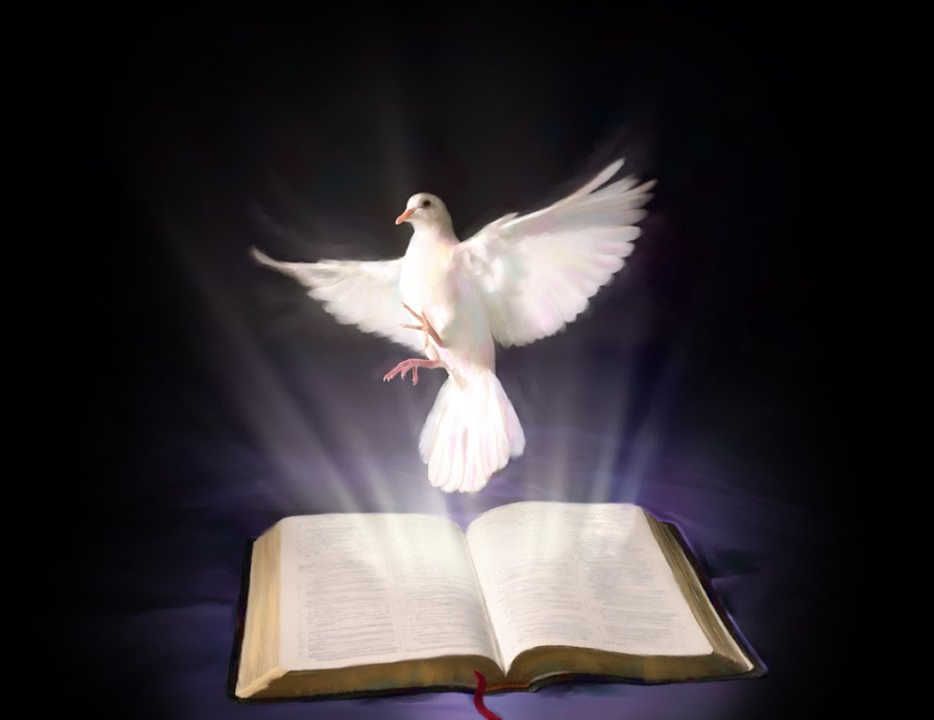Santo do dia tweet media