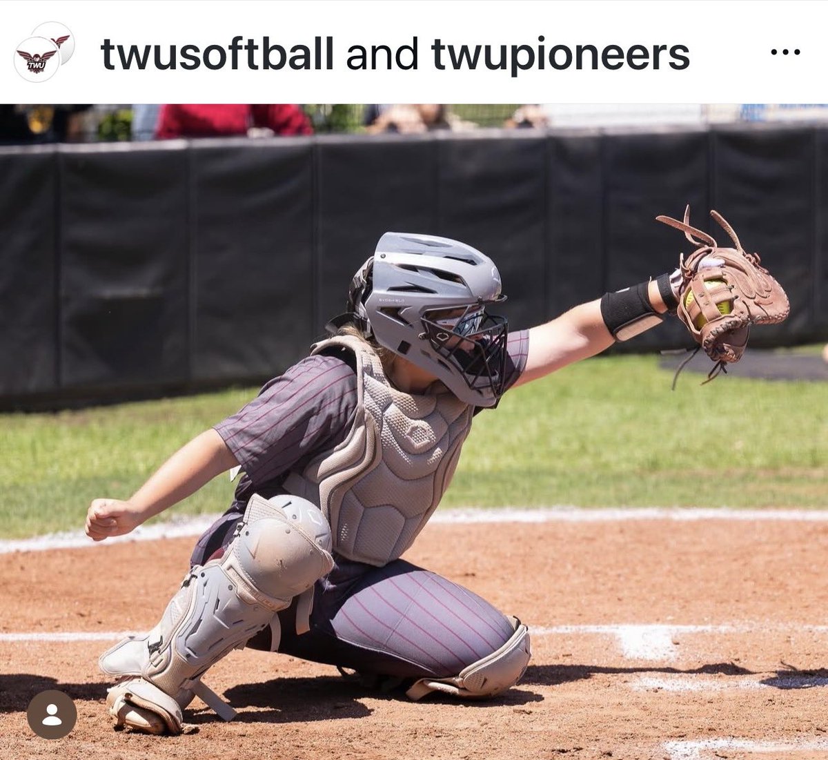 Lady Oiler Softball tweet media