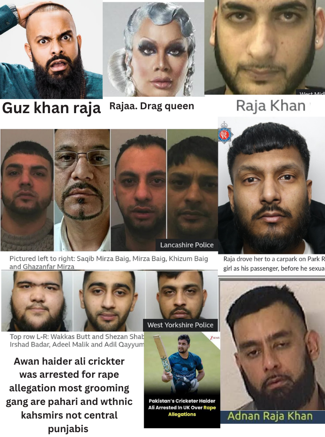 diablo_crypto's tweet photo. If people actually track groomers most are poophari raja, awan, baig, malik, kashmiris. Also people should know indic khans are mirasi or rajput, Not a single Musllim jatt use khan but chaudary now including pothari jatts. Khan is lowly title associated with mirasis and doms https://t.co/kfKG6Hlbb8