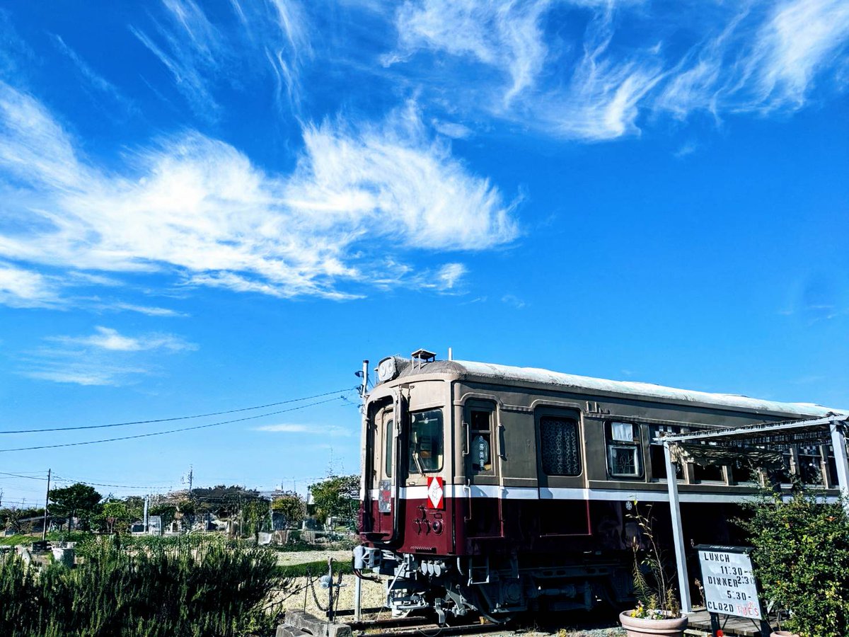 電車食堂 マスタードシード tweet media
