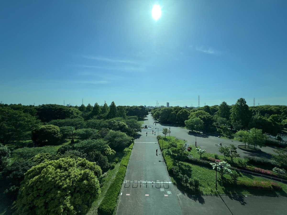 miki_mfb's tweet photo. 快晴です☀️ https://t.co/S1EUts1liq