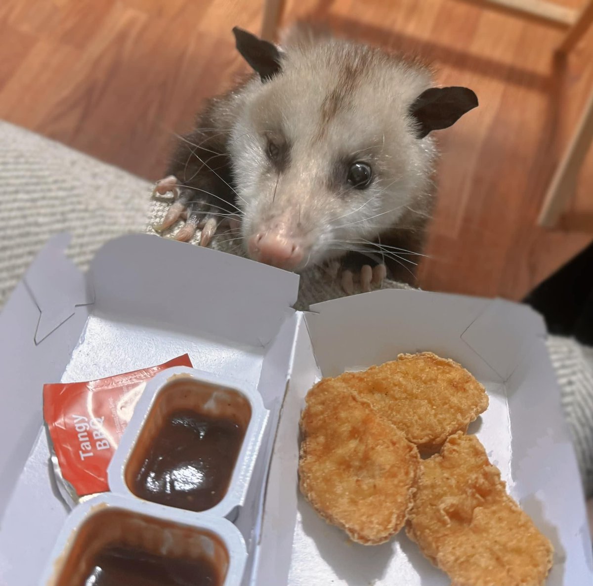 DeathPoss's tweet photo. Dinner date. https://t.co/k9BRlpMmsa