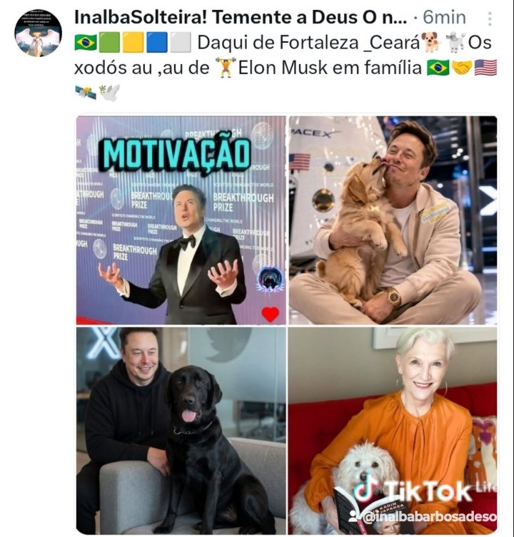 InalbaSolteira! Temente a Deus O nosso Criador 🕊 tweet media