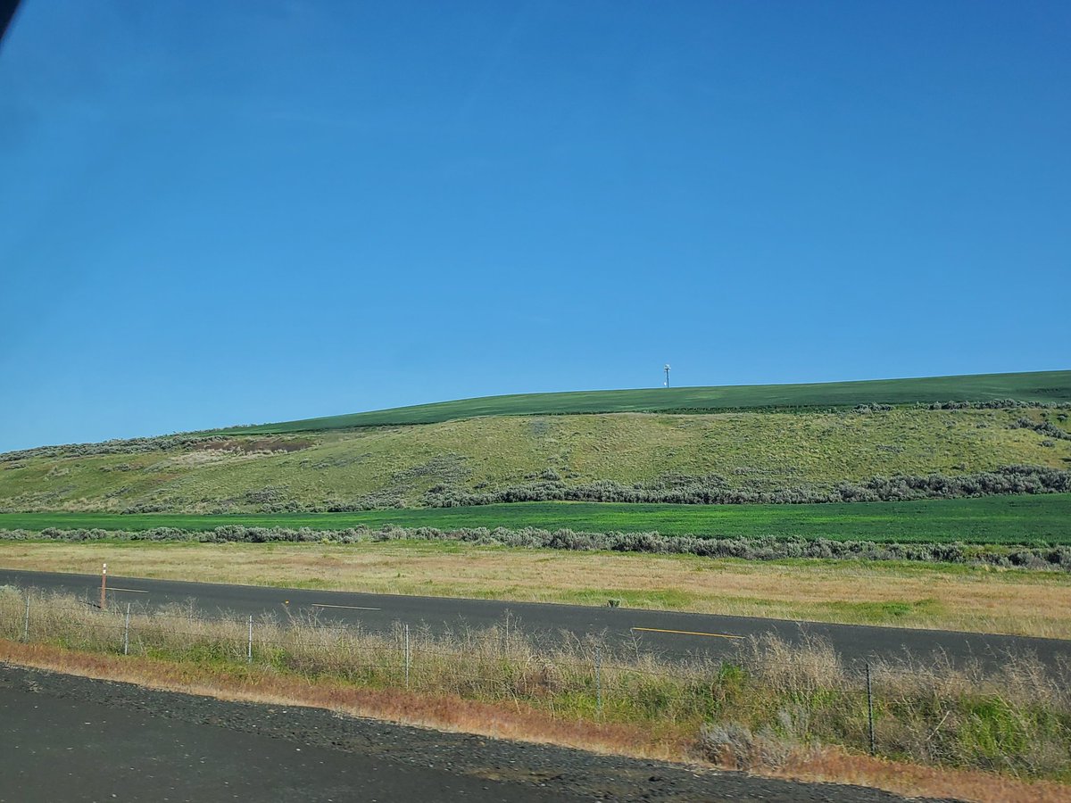 CAS369741's tweet photo. On the road again to Spokane, WA. Beautiful day for a final drive to the new house. These were taken while driving on I-90 between Schrag and Ritzville. Where natural areas nest against the farmland. 20260511 1740 #pnw middle of Washington state https://t.co/eKY35fAqCB