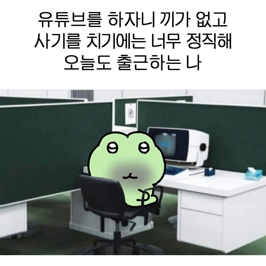 라즈베리당 tweet media