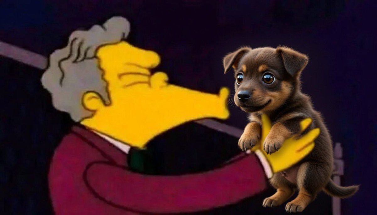 Soy la gemela buena tweet media
