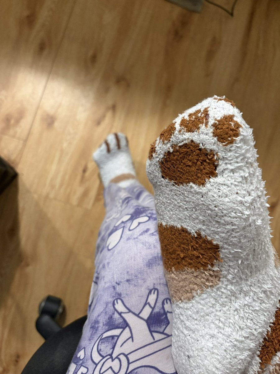 KalistaFact's tweet photo. Chat, what do we think about these paw socks that my little brother got me? https://t.co/dmNZ9nMBeC