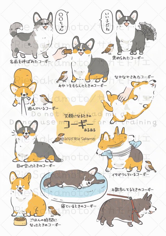 サカモトリエ/イラストレーター tweet media