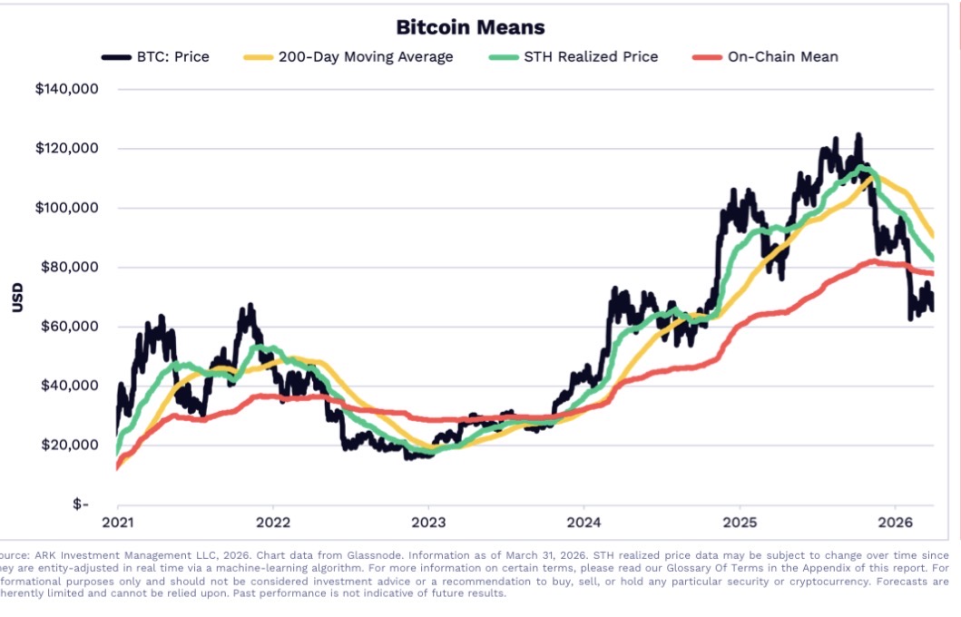 Bitcoin Archive tweet media