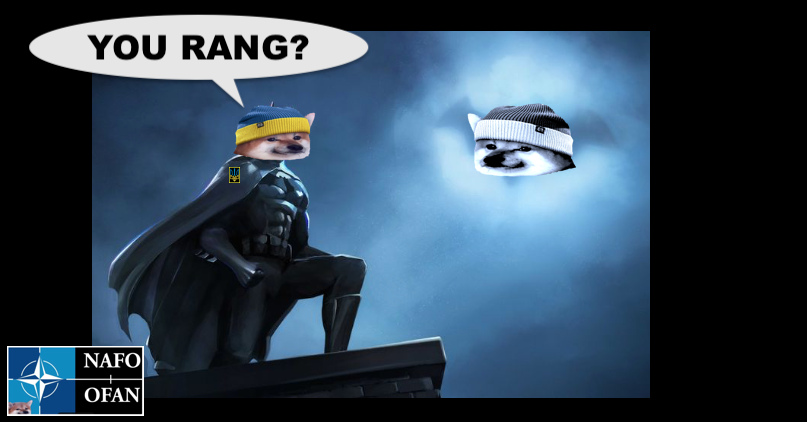 RFM Fella △ 🦩 🇨🇦🇺🇦🇷🇴🇵🇱 - Probable Spam tweet media